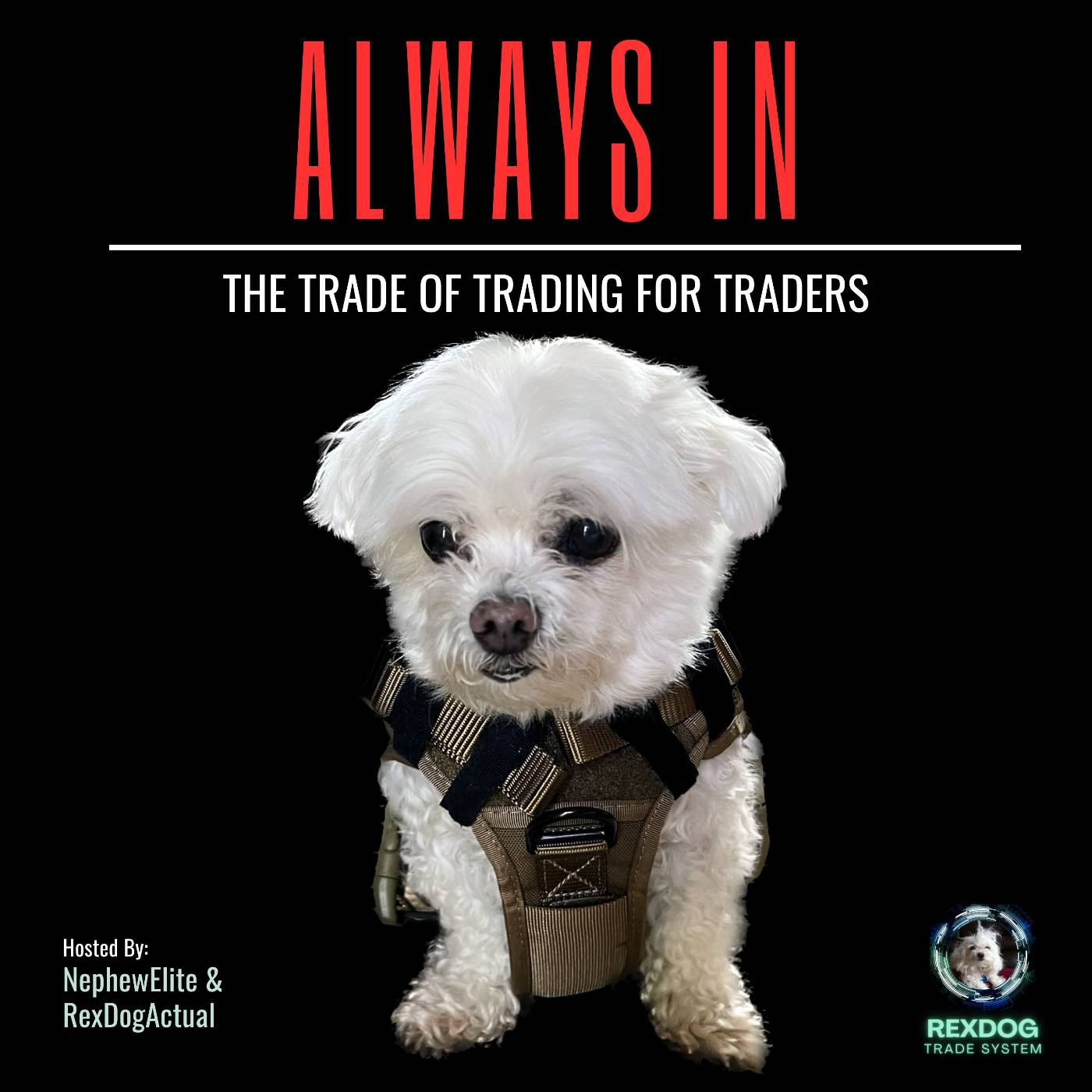 Always In - The Trade of Trading for Traders podcast artwork