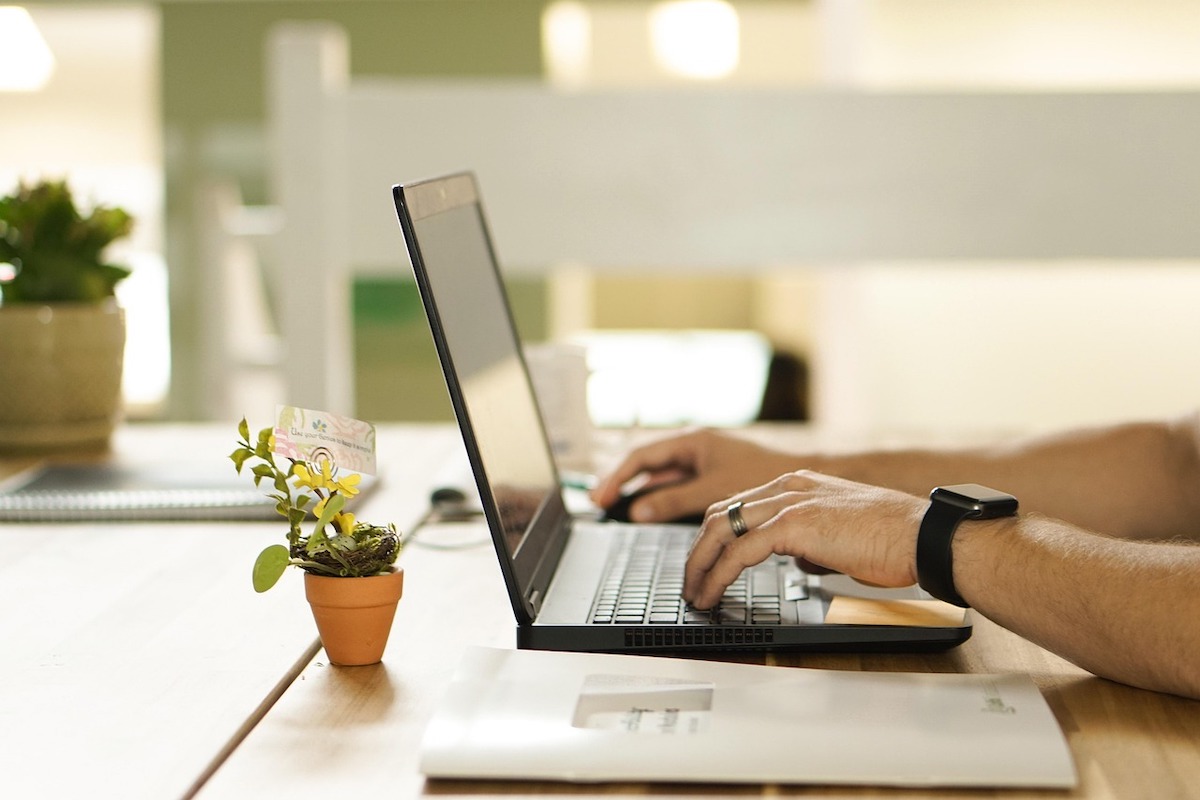 Someone typing on a laptop with a desktop plant