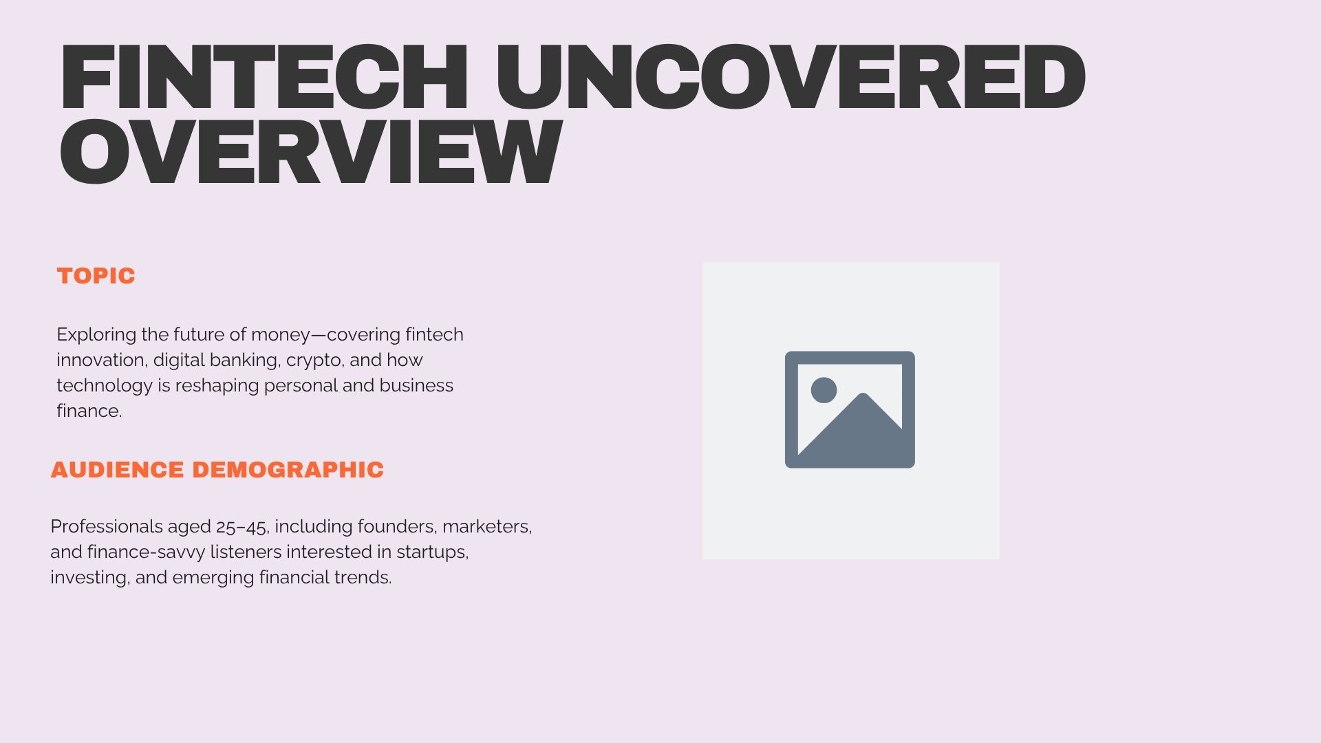 Podcast Media Kit Example - Topic and Audience Demographic