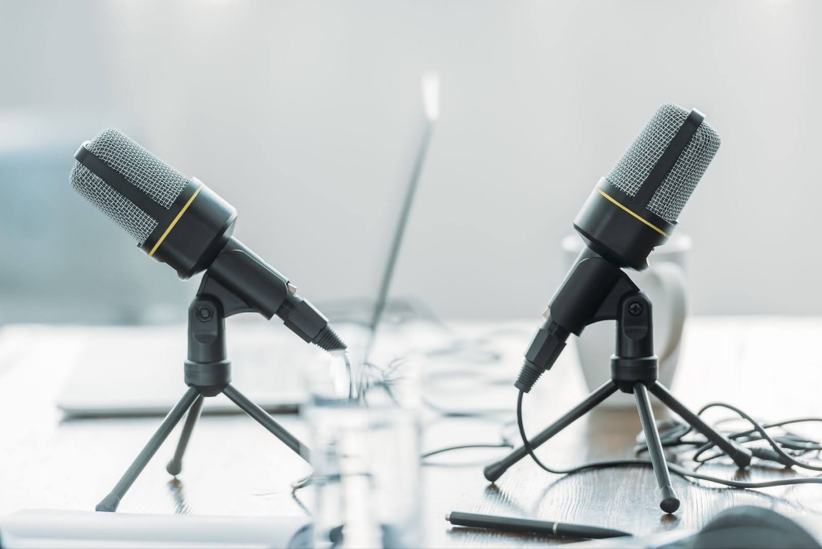 Image of two condenser microphones.